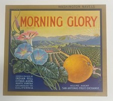 Morning Glory Brand North Pomona, etichetta cassa arancione California, litografia anni '30
