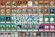 Mazzo Sylvan Alsei Leone