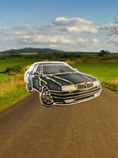 Spilla da collezione -