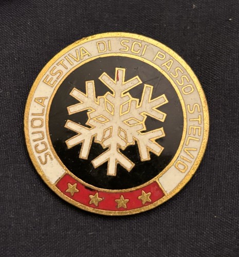 Spilla distintivo scuola - spilla,