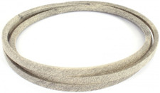 Cinghia di trasmissione