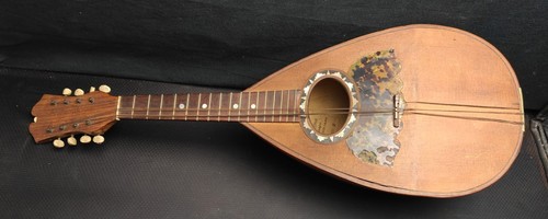 Mandolino napoletano allievo - mandolino,