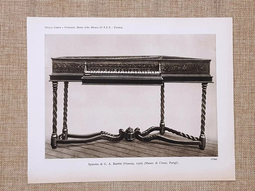 Spinetta baffo 1570 - baffo,