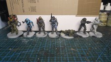 Halo Flashpoint Dipinto Noble
