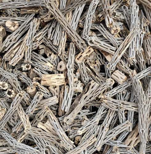 Lbs cholla legno tagli - cholla,