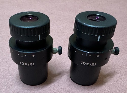 Coppia oculari per microscopio