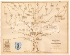1970 ca PADOVA Famiglia STOPPATO Albero genealogico ceppo Antonio di Nicola