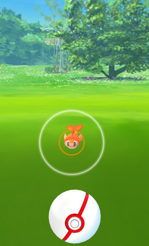 Pokemon nuova uscita regionale - pokemon,