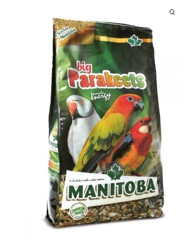 Miscuglio misto manitoba - miscuglio,