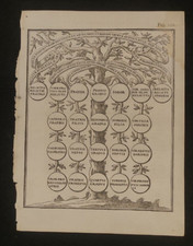 ALBERO GENEALOGICO ANTICA STAMPA