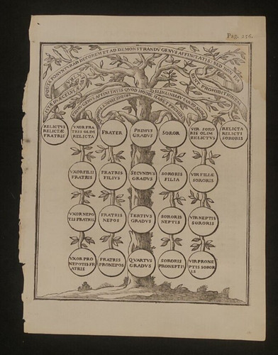 Albero genealogico antica - albero,