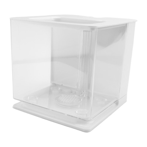 Fish tank acquario - tank,