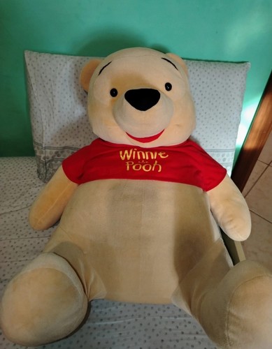 Winnie the pooh peluche - the,