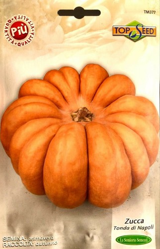 Semi seeds zucca tonda - seeds,