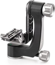 Testa cardanica Benro alluminio Arca-Swiss carico 55 libbre con controllo trascinamento GH2N 20220721