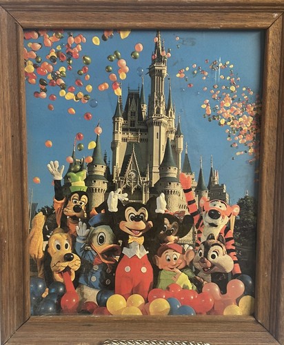 Vintage anni magic kingdom - magic,