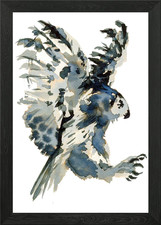 Gufo reale. Bubo bubo poster