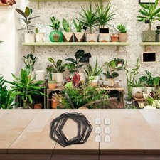 Traliccio vegetale attraente e