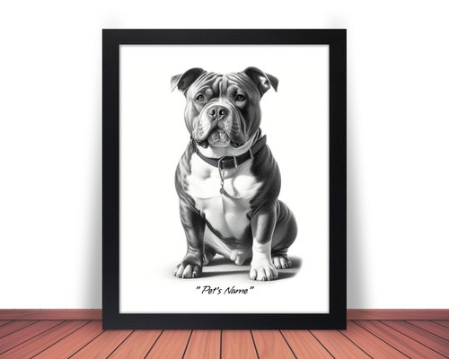 Foto pit bull bully - foto,