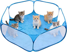 Box per animali - animali, domestici
