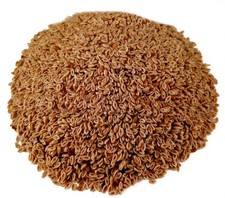 White Husk Fiber Herb Tea Psyllium, per costipazione, Plantago Psyllium Husk