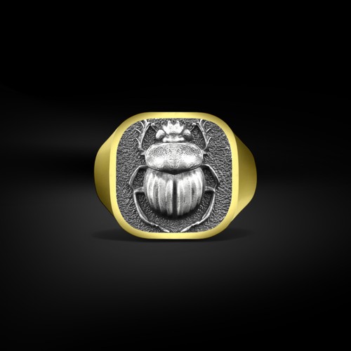 Anello uomo con cuscino - anello, in