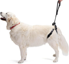 - Imbracatura per Cani Anziani