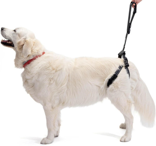 Imbracatura per cani anziani - -,