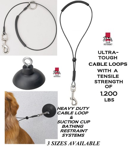Pet toelettatura cani dazio - toelettatura,