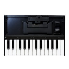 Roland K-25M 25-Key Boutique