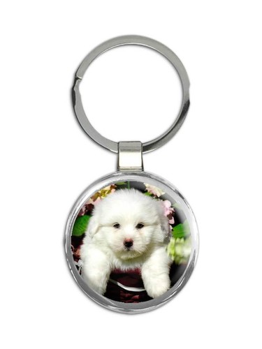 Maltese regalo portachiavi - maltese:,