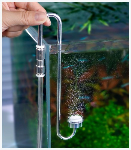 Atomizzatore diffusore co2 - atomizzatore,