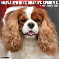 Calendario da parete Cavalier