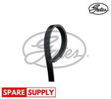 Cinghie a V per FIAT 500 500 C
