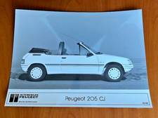 FOTOGRAFIA ORIGINALE PEUGEOT 205 CJ 1988 (formato 24x18 cm)