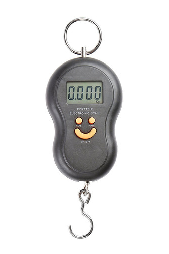 Bilancia portatile elettronica - bilancia,