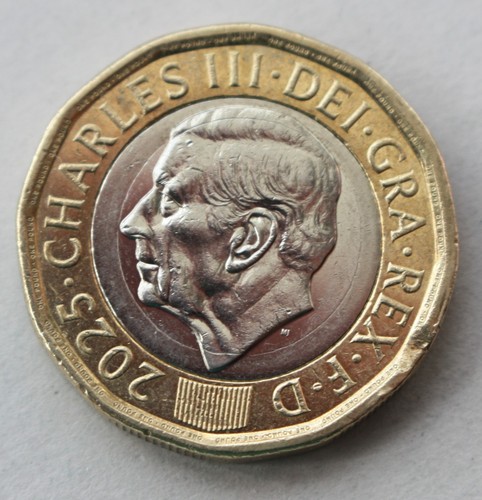 Moneta una sterlina - moneta,