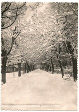 BIELLA [146] - CONNECTING ROD