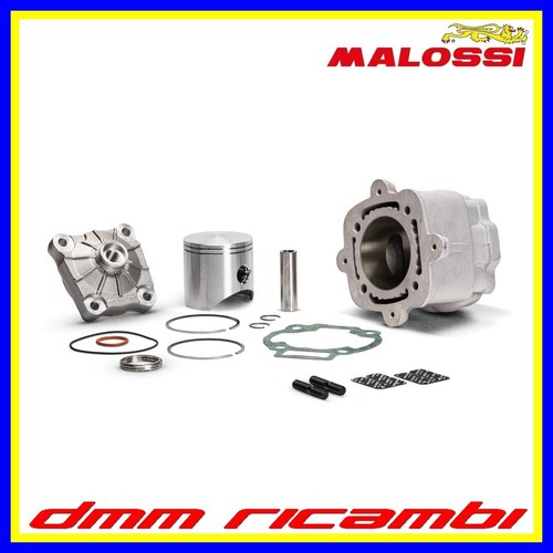 Gruppo termico malossi - gruppo,
