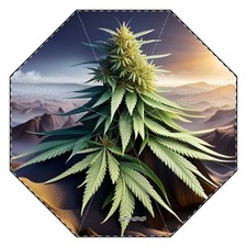 Semi-Automatic Foldable