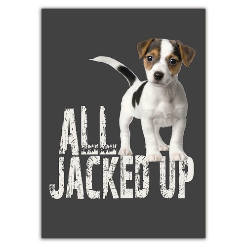 Adesivo regalo tutto jack - adesivo,