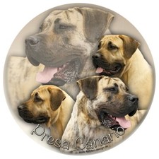 Adesivo auto PRESA (DOGO) CANARIO ADESIVO TONDO adesivo finestra sticker #1