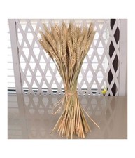 Spighe Di Grano Fascio 80