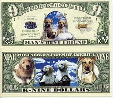Il Cane - Banconota Dollari