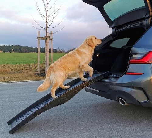 Rampa per cani pieghevole