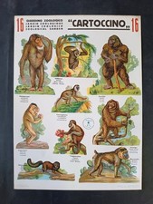 cartoncino giardino zoologico CARTOCCINO numero 16 ed Boschi