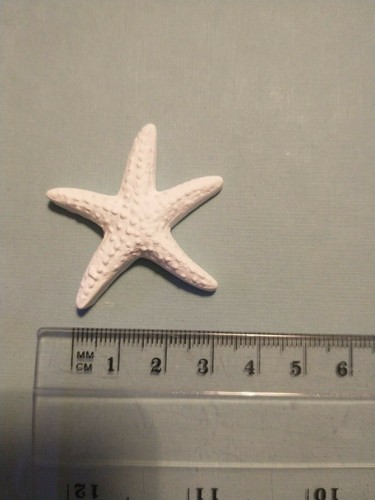 Gessetto stella marina - gessetto,