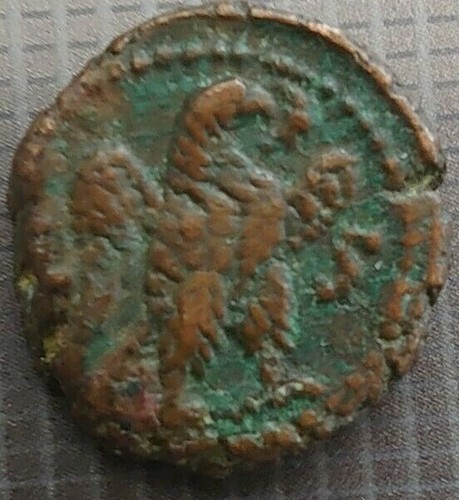 Probo romano egitto con - romano,