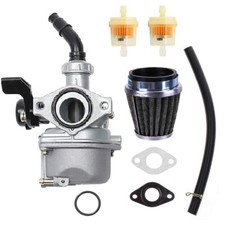 Carburetor Kit For PZ19
