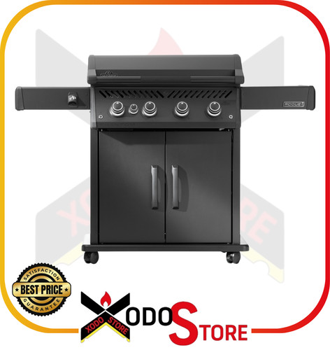 Barbecue piastra gas - barbecue,